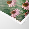 Plakat bez ramy 30x40 - Natura w Pełnym Blasku - kwiaty na łące, różowe kwiaty polne