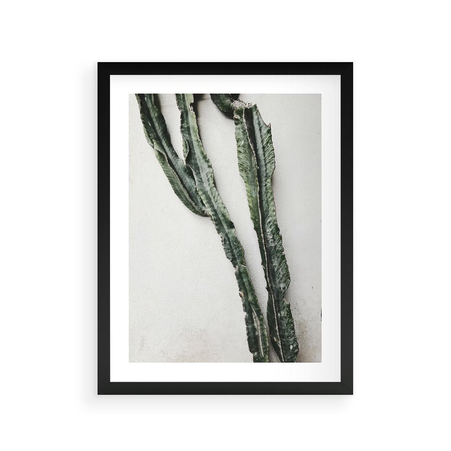 Plakat w ramie 30x40 - Zielona Roślina z Liśćmi - zielona roślina, liście - rama czarna