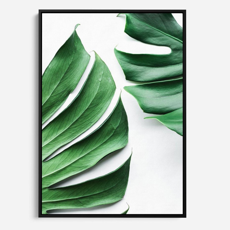 Obraz w ramie 70x100 - Monstera - Liście Kwiaty - monstera, liście - rama czarna