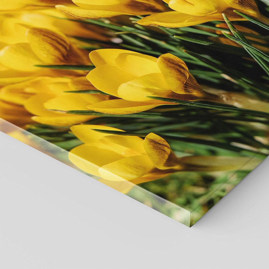 Obraz na płótnie 40x40 - Kwiatowe uniesienia natury - kwiat, kwiaty