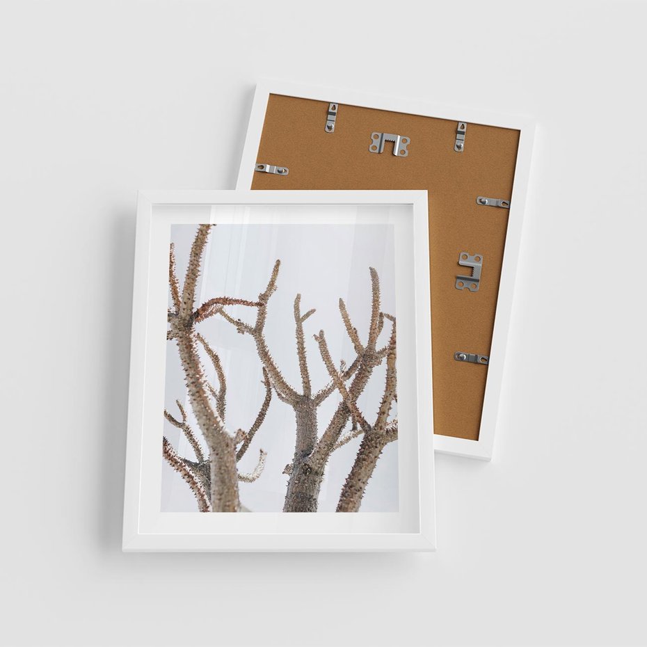 Plakat w ramie 40x50 - Pustynna Harmonia Gałęzi - pustynna roślina, suche gałęzie - rama biała