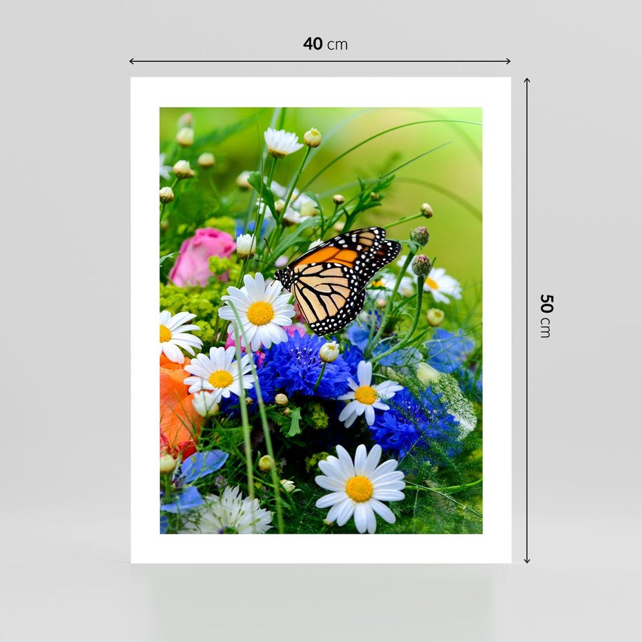 Plakat bez ramy 40x50 - Kwiatowy Taniec - motyl, kwiaty