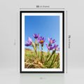 Plakat w ramie 50x70 - Kwiatowa siła łąki - kwiaty, łąka - rama czarna