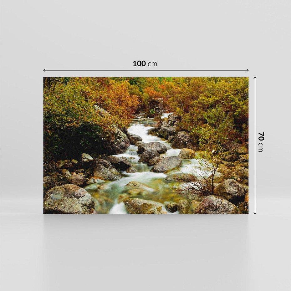 Obraz na płótnie 100x70 - Śpiew Strumienia - strumień, górski