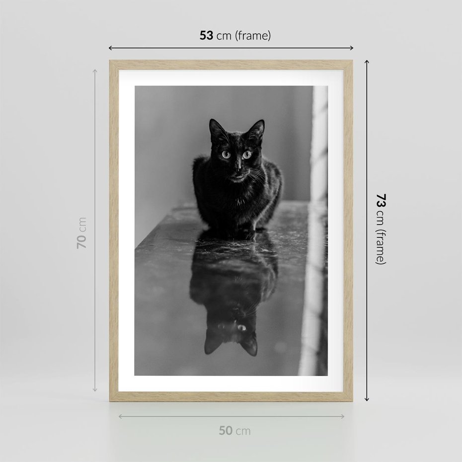 Plakat w ramie 50x70 - Kocie Oczy - kot, czarno białe zdjęcie - rama drewno