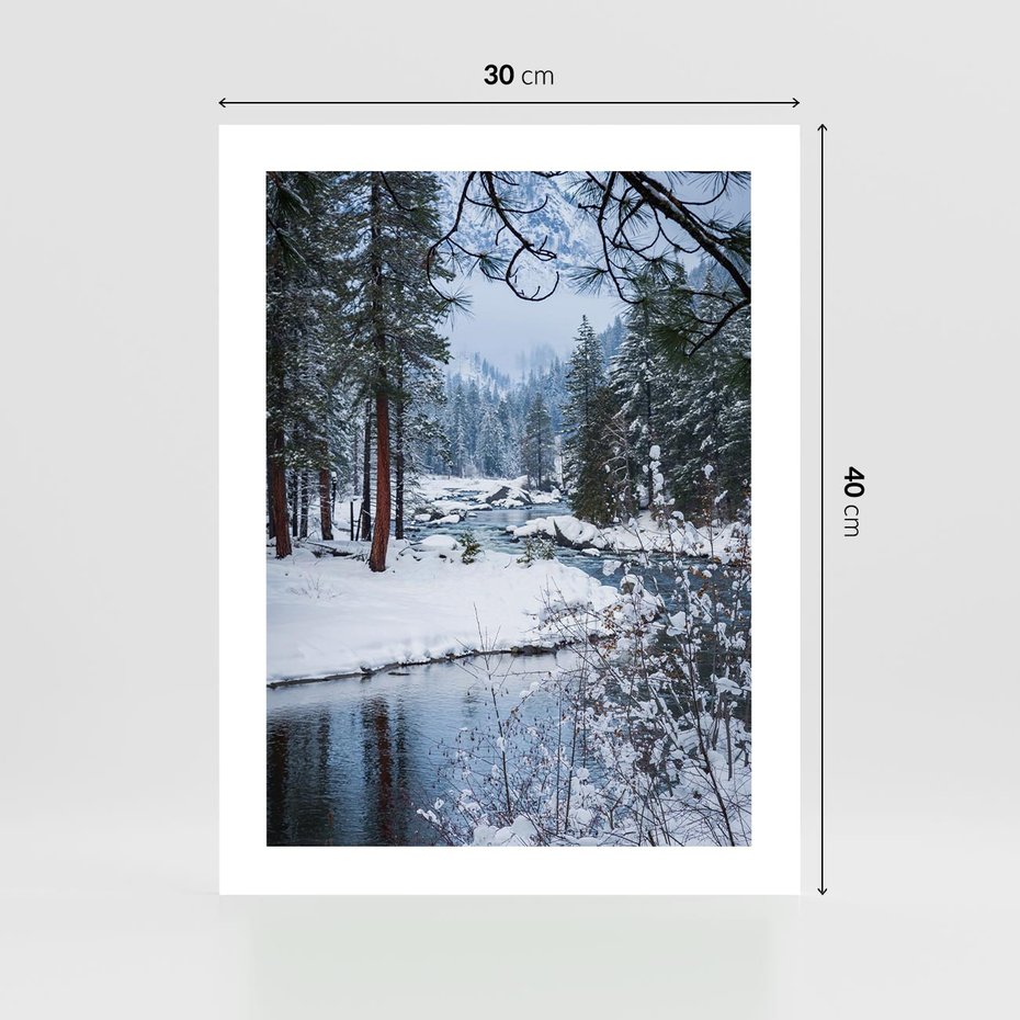 Plakat bez ramy 30x40 - Śnieżne cuda - zima, las