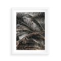 Plakat w ramie 40x50 - Liściaste Palmy - palmy, drzewa palmowe - rama biała