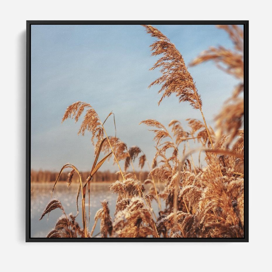 Obraz w ramie 50x50 - Wyraz Stylu - trawy, boho - rama czarna