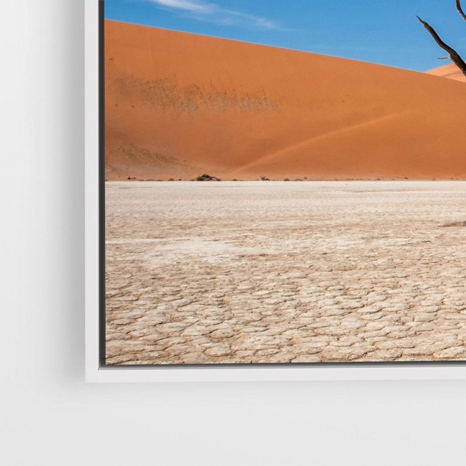 Obraz w ramie 80x80 - Słońce i Suche Drzewo - pustynia, suche - rama biała