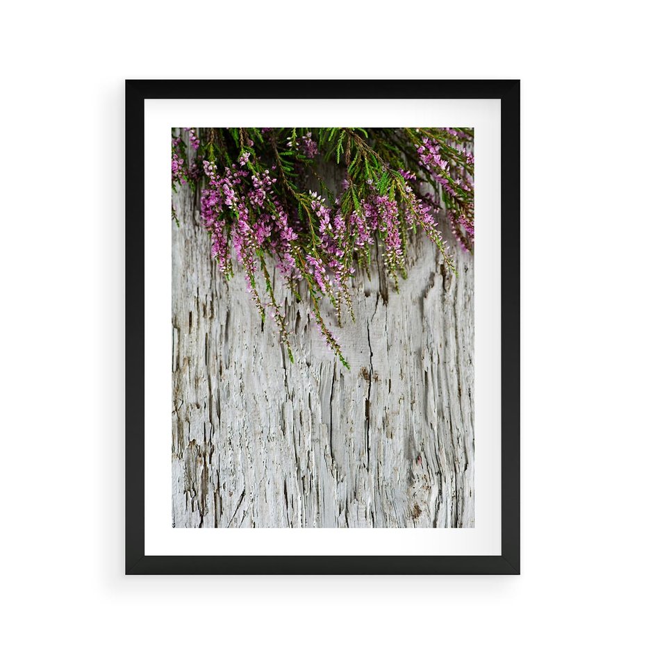 Plakat w ramie 40x50 - Fioletowe Wrzosy - wrzosy, fiolet - rama czarna