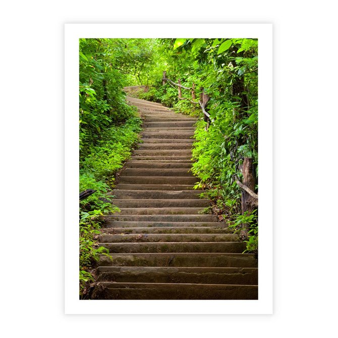 Plakat bez ramy 21x30 - Magia Leśnej Ścieżki - ścieżka, w lesie