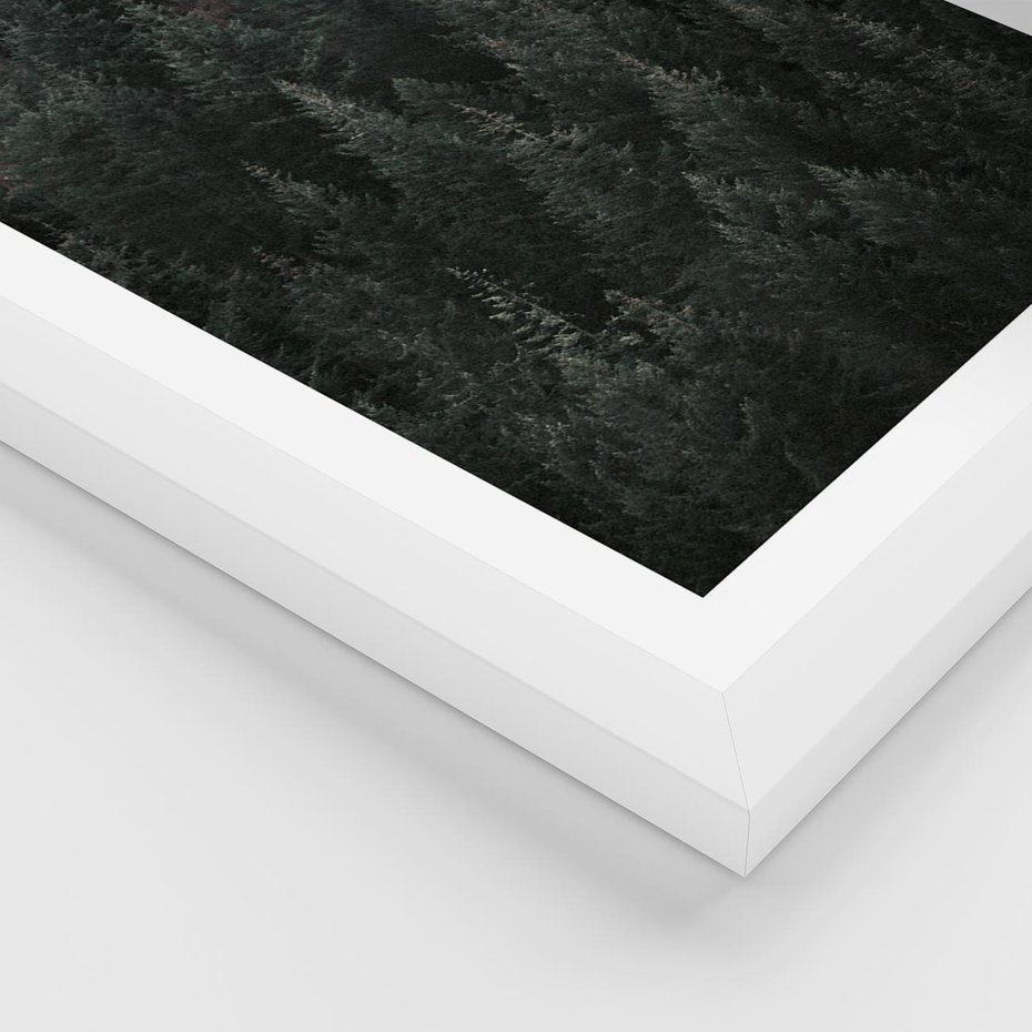 Plakat w ramie 30x40 - Wysoko nad Iglastym Lasem - las, perspektywa - rama biała