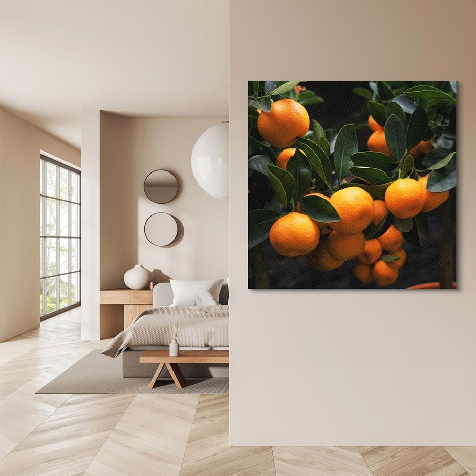 Obraz na płótnie 40x40 - Mandarynki Drzewko Urodzaju - mandarynki, drzewko