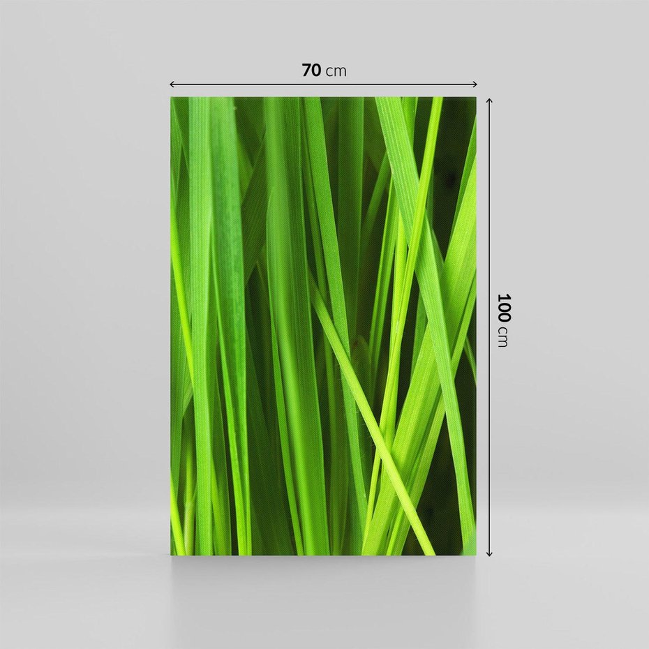 Obraz na płótnie 70x100 - Trawa w abstrakcji: natura przekształcona - trawa, abstrakcja