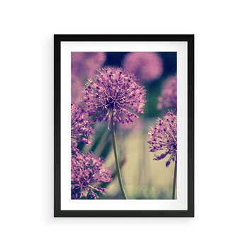 Plakat w ramie 40x50 - Kwiatowa łąka w pełnym rozkwicie - kwiaty, łąka - rama czarna