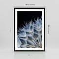 Plakat w ramie 50x70 - Makro piękno dmuchawców - makro, dmuchawce - rama czarna
