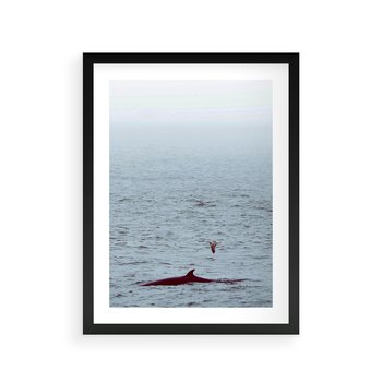 Plakat w ramie 30x40 - Spotkanie z Orką - morze, ocean - rama czarna
