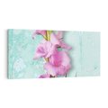 Obraz na płótnie 100x50 - Piękno w delikatności - kwiaty, różowe
