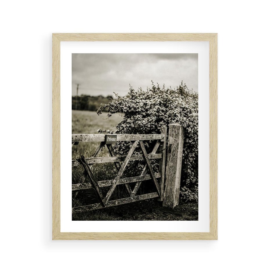Plakat w ramie 40x50 - Wiejski Urok: Stary Płot i Kwitnący Krzew - rustykalne zdjęcie, stary płot - rama drewno