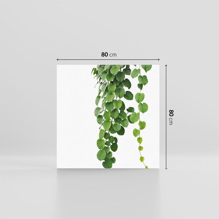 Obraz na płótnie 80x80 - Świeżość Natury - liście, zielone