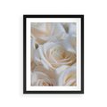 Plakat w ramie 30x40 - Białe róże piękności - białe, róże - rama czarna