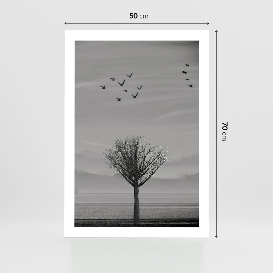 Plakat bez ramy 50x70 - Samotne Drzewo - samotne drzewo w polu, czarno białe zdjęcie