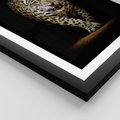 Plakat w ramie 30x40 - Elegancja lamparta - lampart, pantera - rama czarna