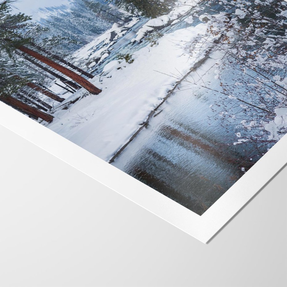 Plakat bez ramy 30x40 - Śnieżne cuda - zima, las