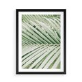 Plakat w ramie 50x70 - Liście Palmy: Egzotyczna Grafika - palma, liście palmy - rama czarna