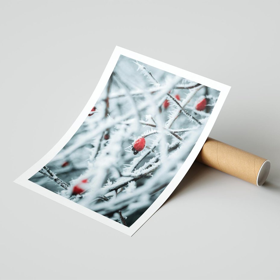 Plakat bez ramy 50x70 - Zima na Gałęziach - zima, oszronione gałęzie