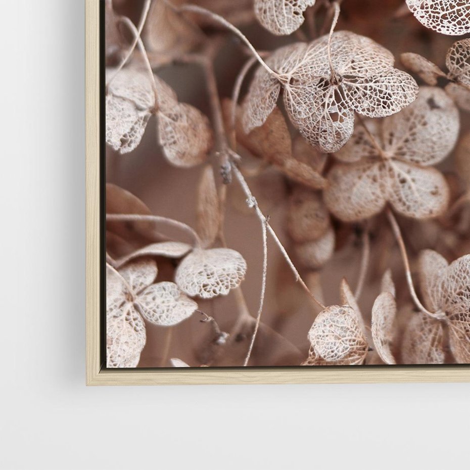 Obraz w ramie 80x80 - Przemijająca Piękność - fotografia, zbliżenie - rama drewno