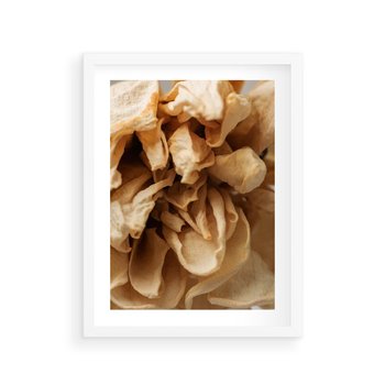 Plakat w ramie 40x50 - Zjawiskowe zasuszone kwiaty - zasuszone, kwiaty - rama biała