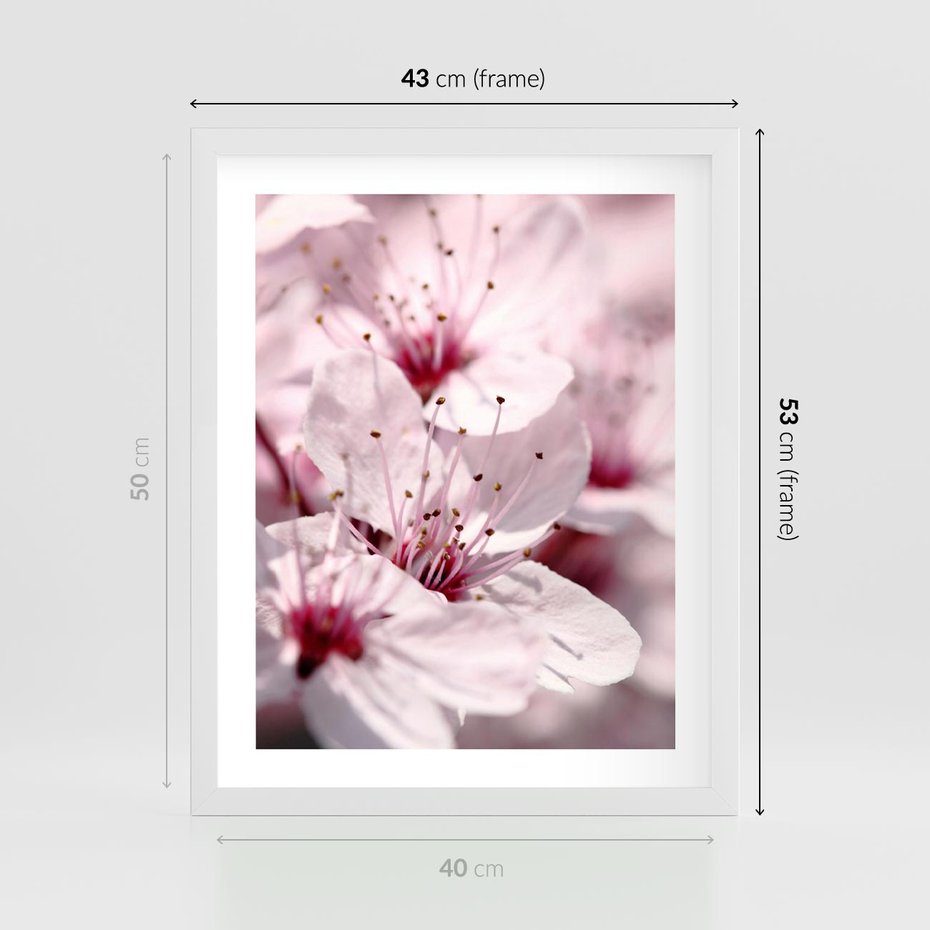 Plakat w ramie 40x50 - Kwitnąca Wiśnia - kwiaty, kwitnąca - rama biała