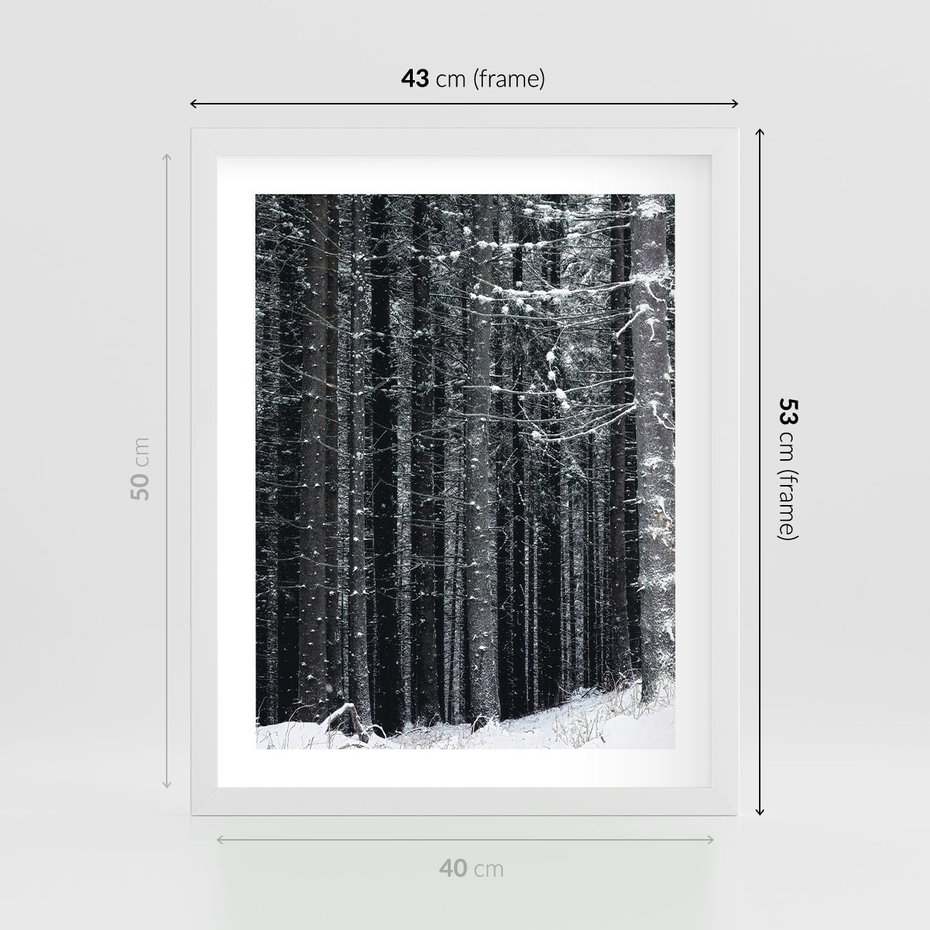Plakat w ramie 40x50 - Leśna Cisza: Malowniczy Pejzaż Zimą - las zimą, ośnieżone pnie drzew - rama biała