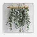 Obraz w ramie 80x80 - Uwodzicielska zieleń eukaliptusa - eukaliptus, zielone - rama biała