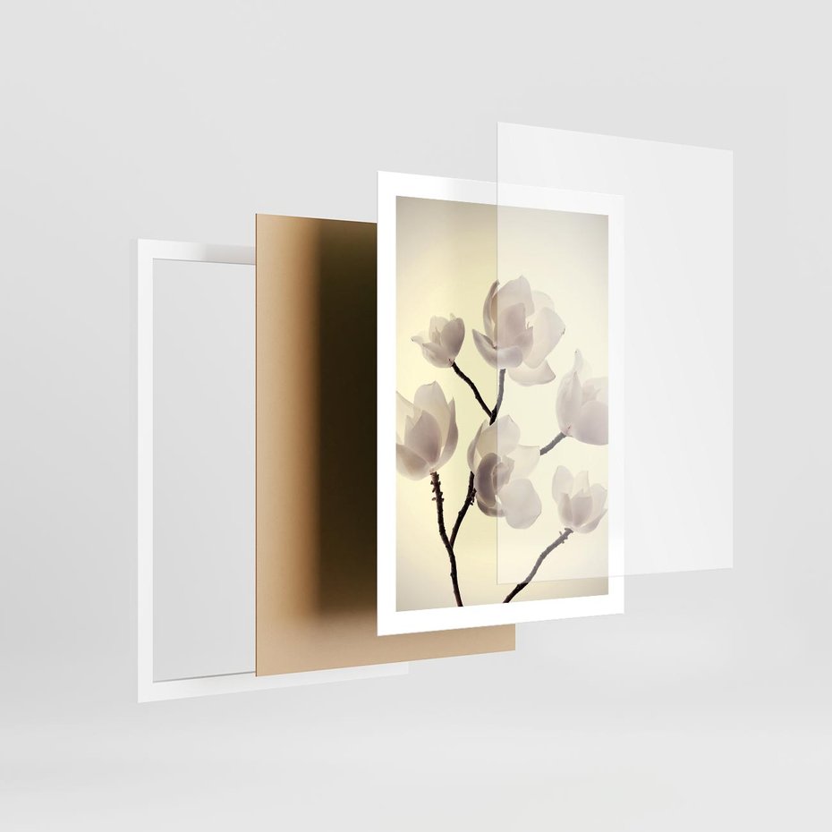 Plakat w ramie 50x70 - Elegancja Natury - magnolia, białe - rama biała
