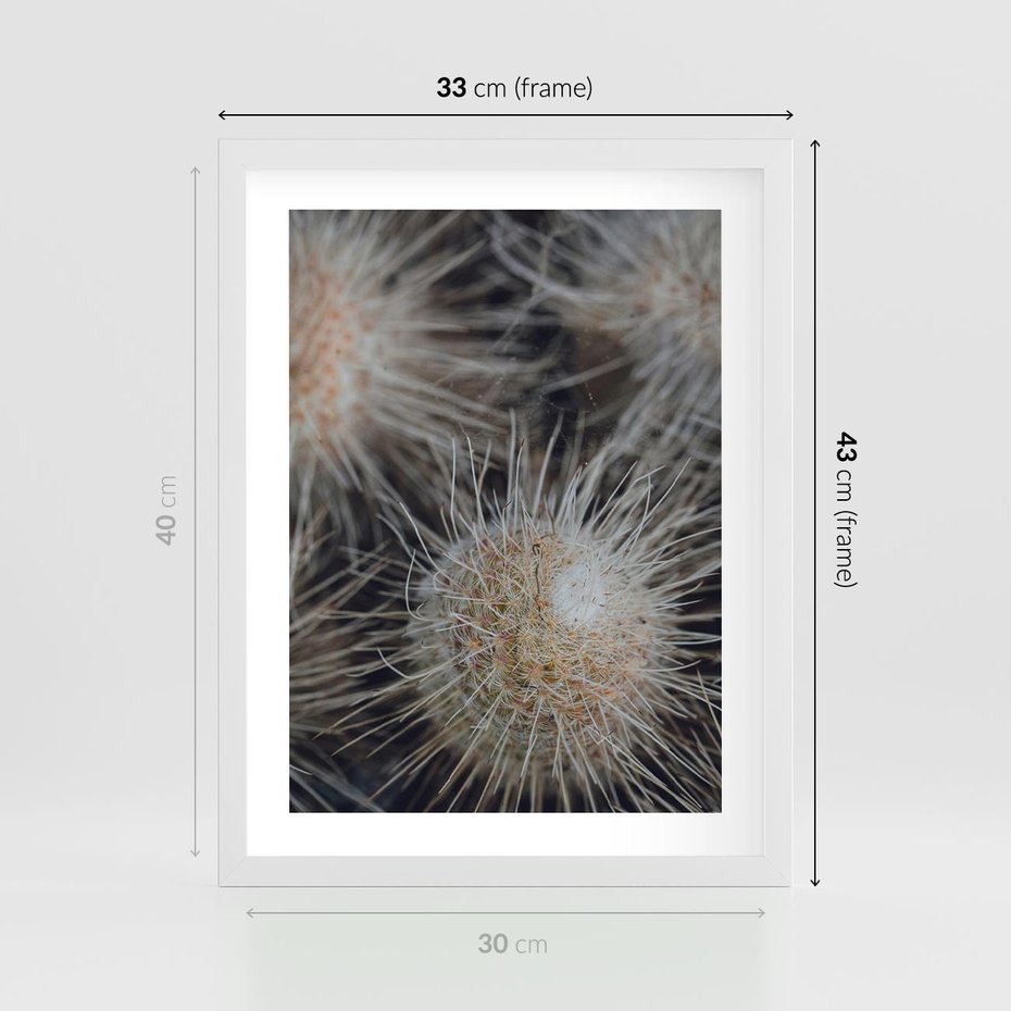 Plakat w ramie 30x40 - Ulotna Piękność Natury - makro, dmuchawce - rama biała