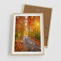 Plakat w ramie 50x70 - Kolorowe drzewa na ścieżce jesieni - las, jesień - rama drewno