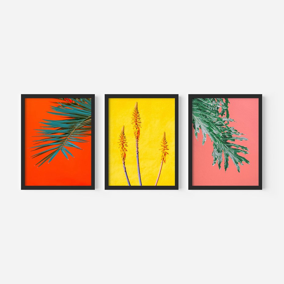 Zestaw obrazy w ramie 50x70 galeria - Rośliny, liście, kolorowe, energetyczne, tło - rama czarna