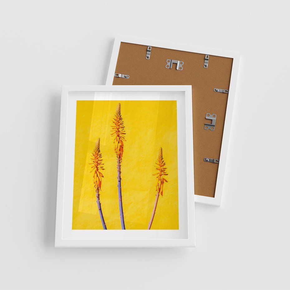 Plakat w ramie 40x50 - Radość Natury - kolor, kwiaty - rama biała