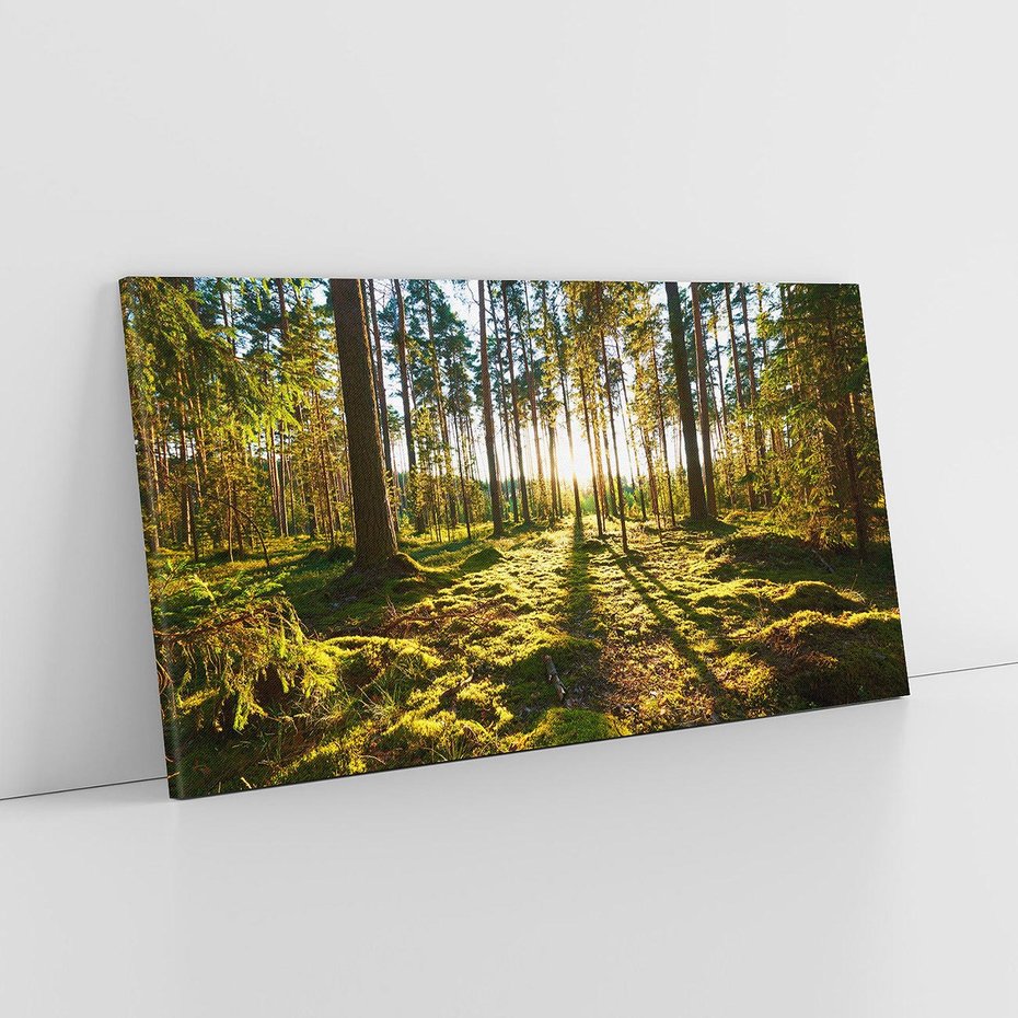 Obraz na płótnie 120x60 - Obfitość natury - las, drzewa