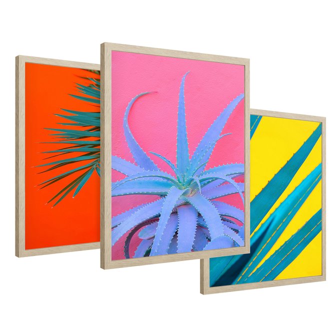 Zestaw obrazy w ramie 30x40 galeria - Liście, rośliny, aloes, neonowe - rama drewno