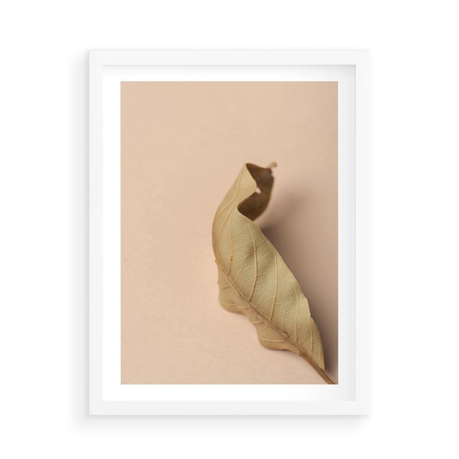 Plakat w ramie 50x70 - Boho suszone liście - suszony, liść - rama biała