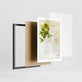 Plakat w ramie 50x70 - Subtelność białych frezji - frezja, białe - rama czarna
