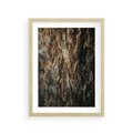 Plakat w ramie 30x40 - Tekstura Drewna: Zbliżenie - zbliżenie na pień drzewa, tekstura - rama drewno