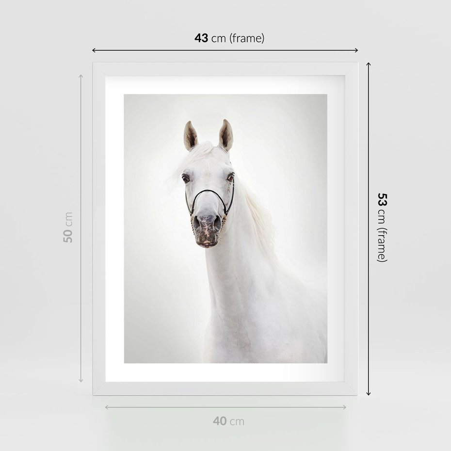 Plakat w ramie 40x50 - Elegancja białego konia - biały, koń - rama biała