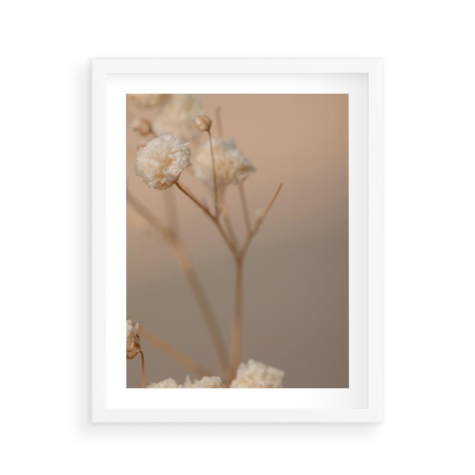 Plakat w ramie 40x50 - Subtelna gipsówka - gipsówka, suche - rama biała