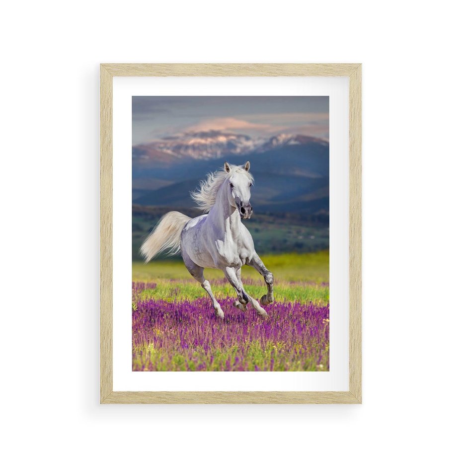 Plakat w ramie 30x40 - Koń Góry: Spotkanie z Wielką Przyrodą - koń, góry - rama drewno