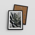 Plakat w ramie 30x40 - Egzotyczny Raj - sukulenty, kaktusy - rama czarna