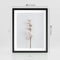 Plakat w ramie 40x50 - Minimalistyczna Gałązka Bawełny - bawełna, gałązka bawełny - rama czarna